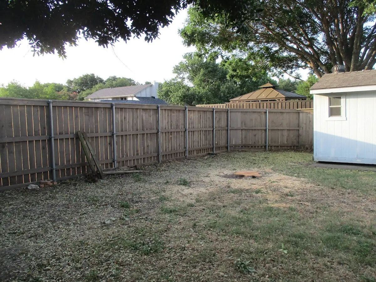 Cleared yard after professional tree removal in Cross Plains