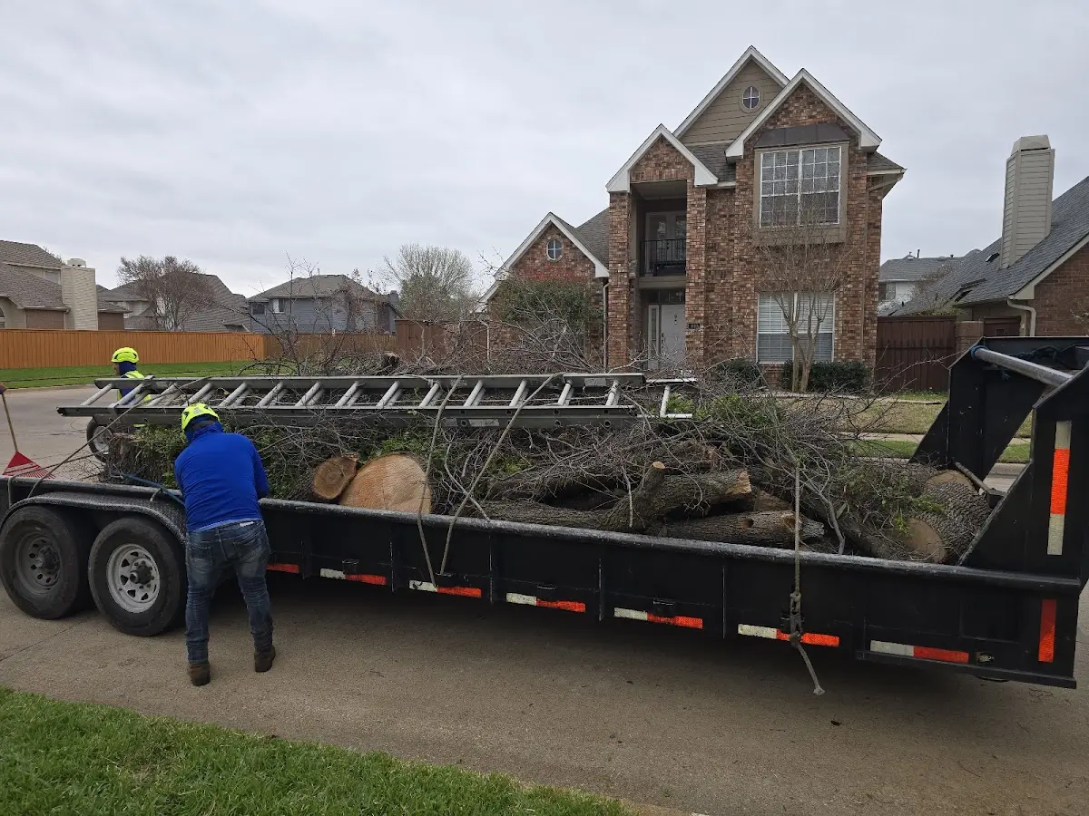 Expert Tree Fertilization with proper safety equipment in Cross Plains